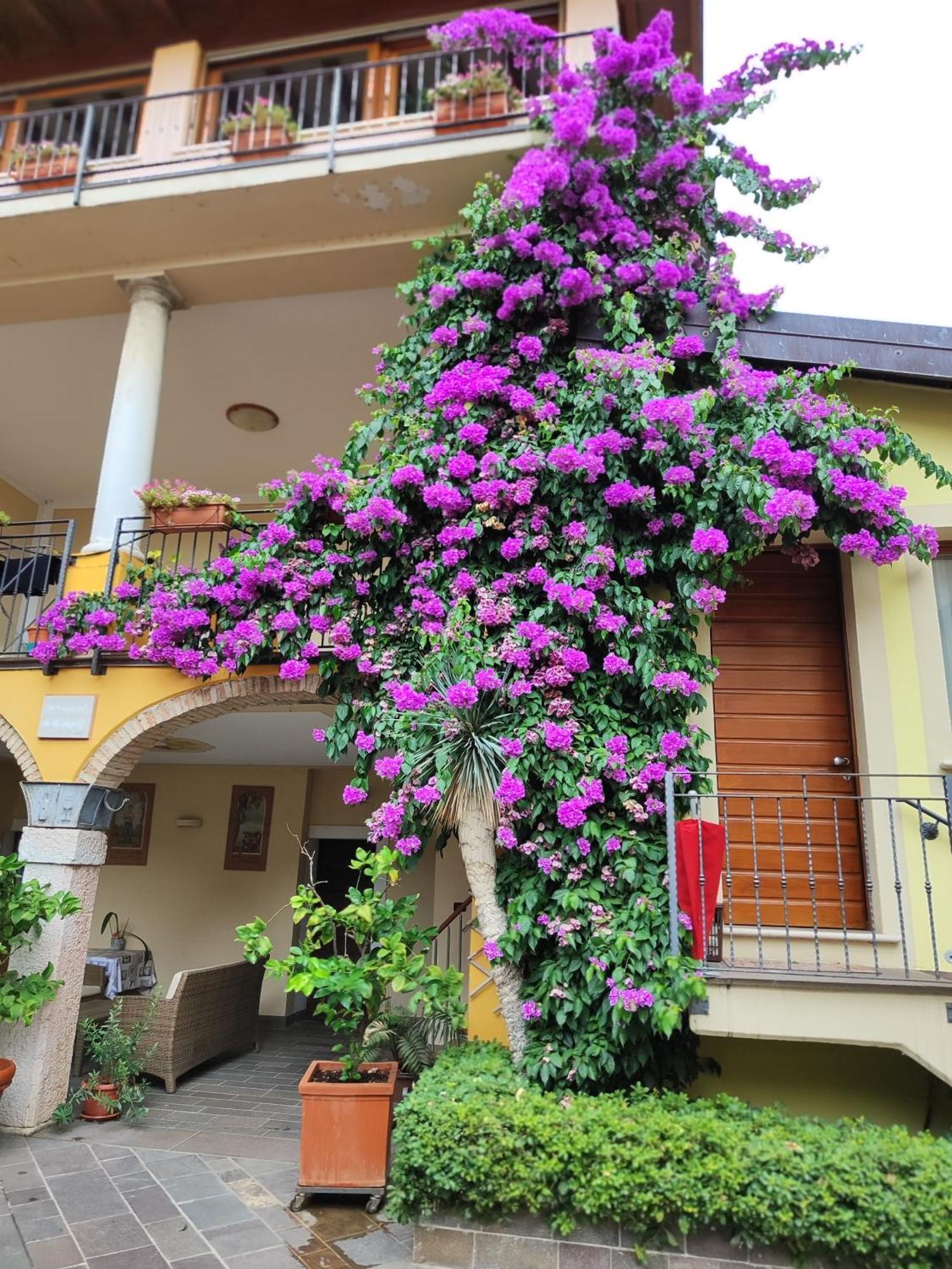 Agriturismo Il Barone Moniga del Garda Extérieur photo